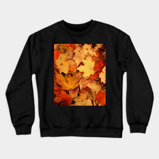 Autumn is coming Crewneck Sweatshirt